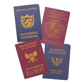 Joe Browns On The Run Passport Notebooks (Pk/4)