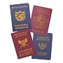 Joe Browns On The Run Passport Notebooks (Pk/4) by Joe Browns