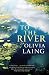 To the River: A Journey Beneath the Surface