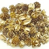 ~Coco Heart~　ゴールドコーンアソート　１００ｇ（木の実・ドライフラワー・クリスマス）