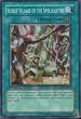 Yugioh Crossroads of Chaos - Secret Village of the Spellcasters Super Rare Foil Card Csoc-en061