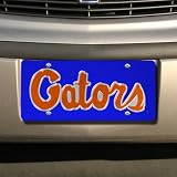 Florida Gators Blue Mirrored License Plate -