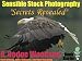 Sensible Stock Photography Secrets Revealed (Book Busters)