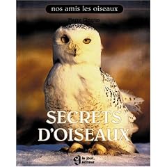 Secrets d'oiseaux