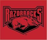 Biederlack NCAA Arkansas Throw