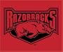 Biederlack NCAA Arkansas Throw