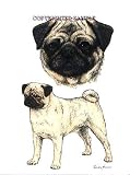 Pug - Double Image by Cindy Farmer