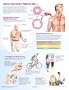 Netter Clinical Charts: High Blood Pressure Chart, 1e (Netter Charts)