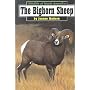The Bighorn Sheep (Wildlife of North America)