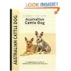 Australian Cattle Dog (Kennel Club)
