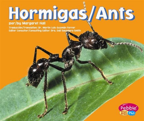 Insects