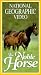 VHS : National Geograhic Video - The Noble Horse