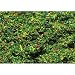 Spielwaren : Faller 170710 - Streumaterial, Blumenwiese
