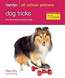 Dog tricks : over 50 fun tricks to teach your dog