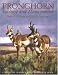 Pronghorn: Ecology and Management