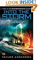 Into the Storm (Destroyermen)