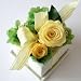 �yVita�z�v���U�[�u�h�t�����[(�t���[���G�o�[)���{���^�C�v �C�G���[