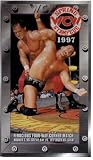 Click for more about THE OUTSIDERS: WCW The Great American Bash 1997 NWO.