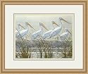 "Bounty of the Wetlands" by Robert Bateman - Framed Artwork
