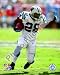 Jonathan Stewart Carolina Panthers 8x10 Photo