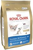 Royal Canin Dry Cat Food, Siamese 38 Formula, 6-Pound Bag