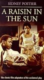 Raisin in the Sun