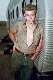 51KEUKtyRBL. SL160  James Dean Movie  Gold Wood Mounted Poster Print   24 X 36