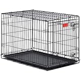 MidWest Life Stages Single-Door Folding Metal Dog Crate, 48 Inches by 30 Inches by 33 Inches