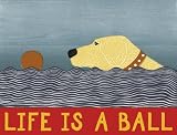 Stephen Huneck Life's a Ball: An Abrams Notefolio
