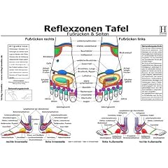 Fussreflexzonen Tafel. Fussr�cken & Seiten. DIN A3