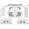 Fussreflexzonen Tafel. Fussr�cken & Seiten. DIN A3