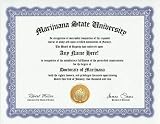 Marijuana Smoking Pot Smoker Degree: Custom Gag Diploma Doctorate Certificate (Funny Customized Joke Gift - Novelty Item)