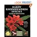 Hardy Rhododendron Species: A Guide to Identification
