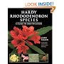Hardy Rhododendron Species: A Guide to Identification