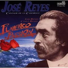 Flamenco Passion