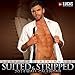 Lucas Entertainment Suited & Stripped 2014 Wall Calendar
