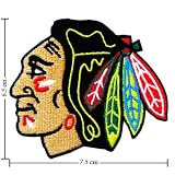 Chicago Blackhawks Logo 1 Embroidered Iron on Patches From Thailand