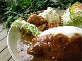◆価格改定◆宮崎ご当地カレー　チキン南蛮カレーセット◆５２５０円以上のお買い上げで送料無料