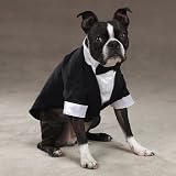East Side Collection Yappily Ever After Groom Tuxedo