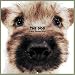 Artlist Collection the Dog 2005 Calendar Cairn Terrier (Multilingual Edition)