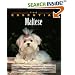 The Essential Maltese (Essential Guide)