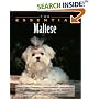 The Essential Maltese (Essential Guide)