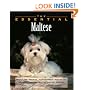 The Essential Maltese (Essential Guide)