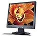 Acer AL1912B 19-inch LCD Monitor- Black