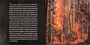 Wildfires