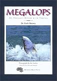Megalops: An Angler's Affair with Tarpon