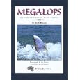 Megalops: An Angler's Affair with Tarpon by Tosh Brown