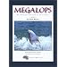 Megalops: An Angler's Affair with Tarpon