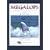 Megalops: An Angler's Affair with Tarpon