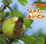 なしのきとあぶらぜみ